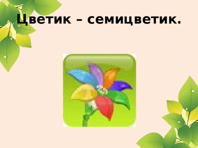 Цветик – семицветик.