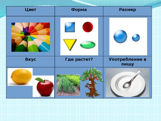 Цвет Форма Вкус Размер Где растет? Употребление в пищу