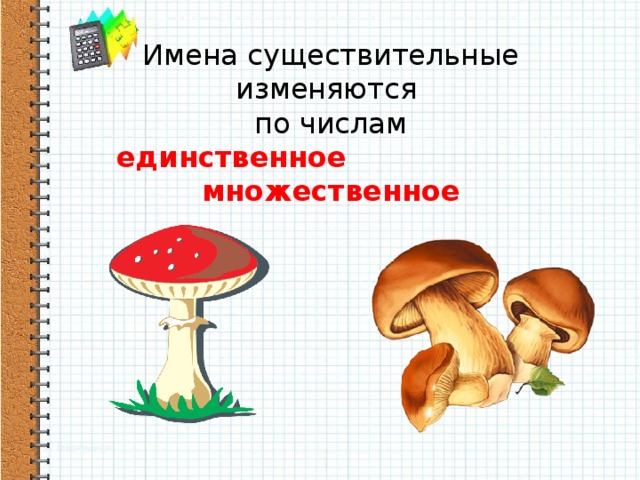 Имена существительные изменяются  по числам  единственное множественное