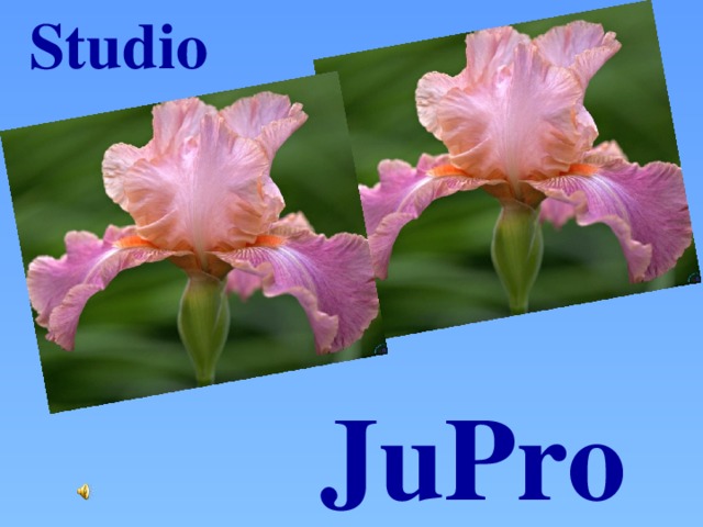Studio  JuPro
