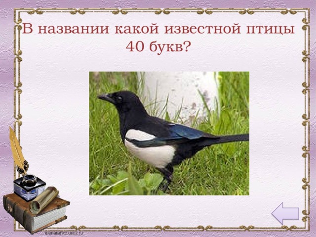 В названии какой известной птицы 40 букв?