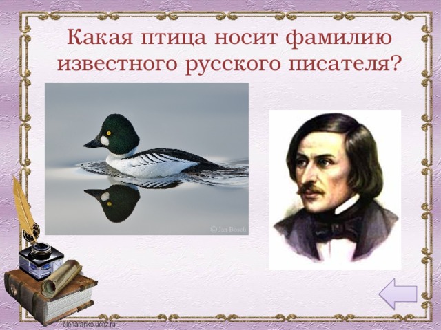 Какая птица носит фамилию известного русского писателя?