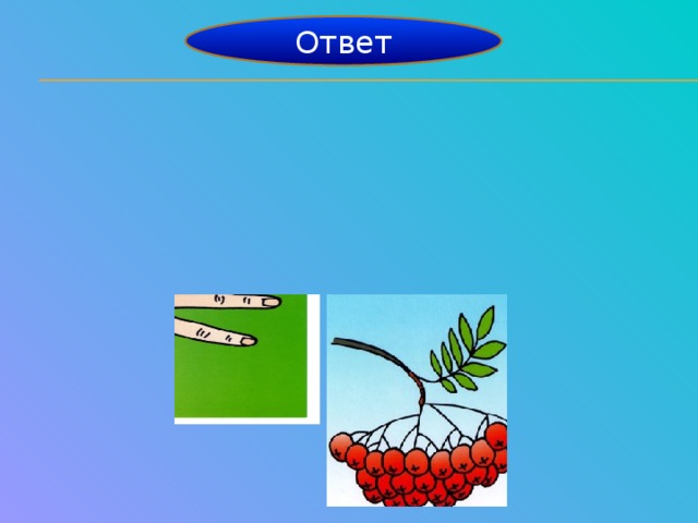 Ответ