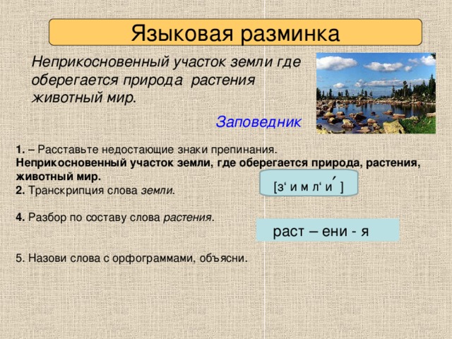 Языковая разминка Неприкосновенный участок земли где оберегается природа растения животный мир . Заповедник 1. Неприкосновенный участок земли, где оберегается природа, растения, животный мир. 2. земли  4. растения [ з ‘ и м л ‘ и ′  ]  раст – ени - я