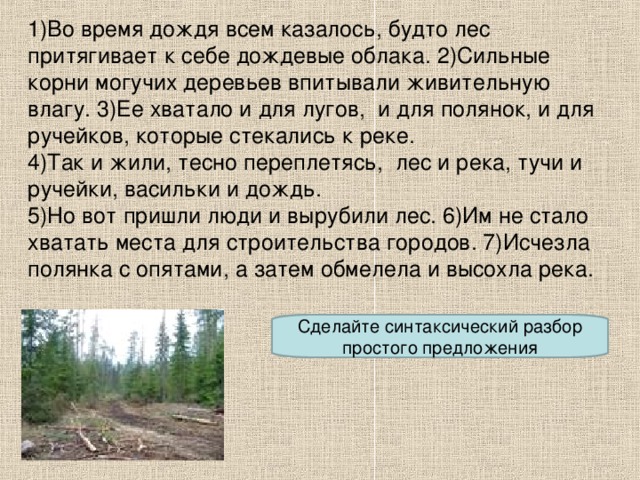 1)Во время дождя всем казалось, будто лес притягивает к себе дождевые облака. 2)Сильные корни могучих деревьев впитывали живительную влагу. 3)Ее хватало и для лугов, и для полянок, и для ручейков, которые стекались к реке. 4)Так и жили, тесно переплетясь, лес и река, тучи и ручейки, васильки и дождь. 5)Но вот пришли люди и вырубили лес. 6)Им не стало хватать места для строительства городов. 7)Исчезла полянка с опятами, а затем обмелела и высохла река. Сделайте синтаксический разбор простого предложения Сделайте синтаксический разбор простого предложения