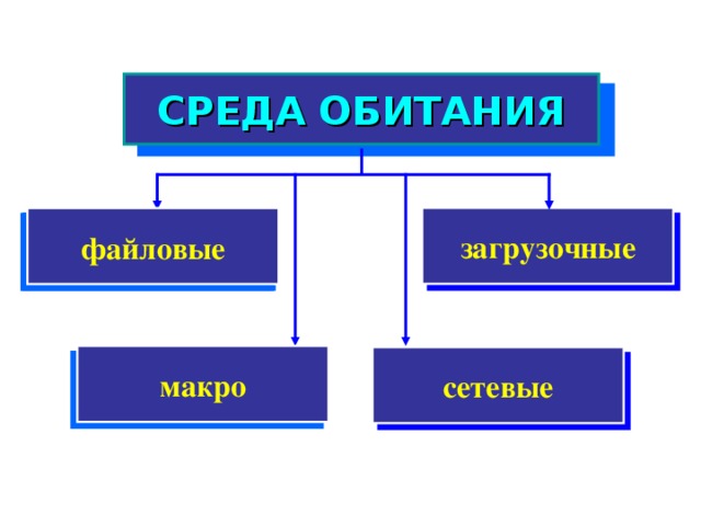 СРЕДА ОБИТАНИЯ загрузочные файловые файловые макро сетевые