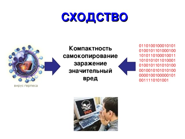 СХОДСТВО  01101001000101010100101101000100101011010001001110101010110100010100101101010100001001010101010000001001000001010011110101001 Компактность самокопирование заражение значительный вред