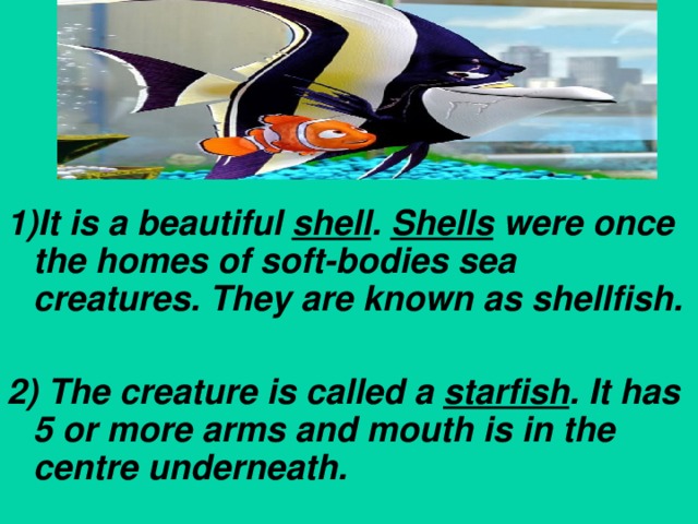1)It is a beautiful shell . Shells were once the homes of soft-bodies sea creatures. They are known as shellfish.  2) The creature is called a starfish . It has 5 or more arms and mouth is in the centre underneath.