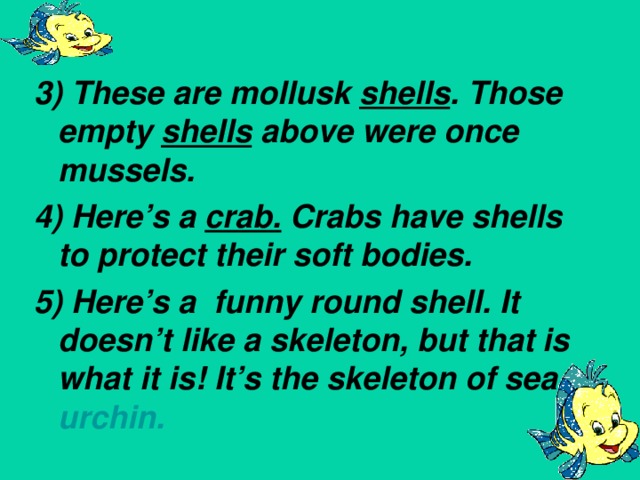 3) These are mollusk shells . Those empty shells above were once mussels. 4) Here’s a crab. Crabs have shells to protect their soft bodies. 5) Here’s a funny round shell. It doesn’t like a skeleton, but that is what it is! It’s the skeleton of sea urchin.
