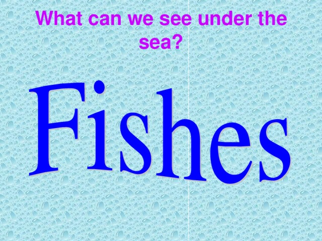 What can we see under the sea?