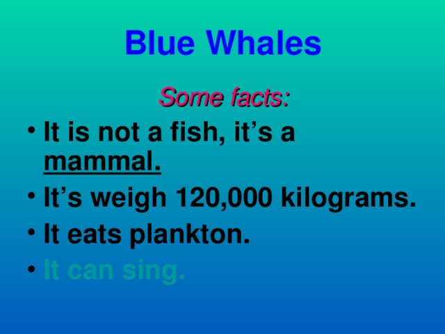 Blue Whales Some facts: