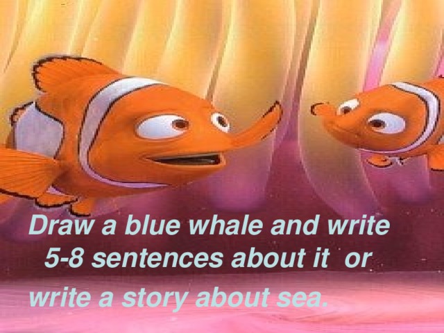 Draw a blue whale and write 5-8 sentences about it or write a story about sea.
