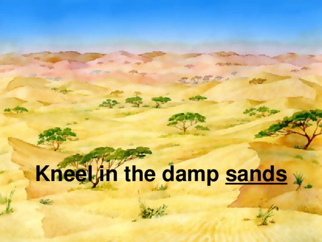 Kneel in the damp sands