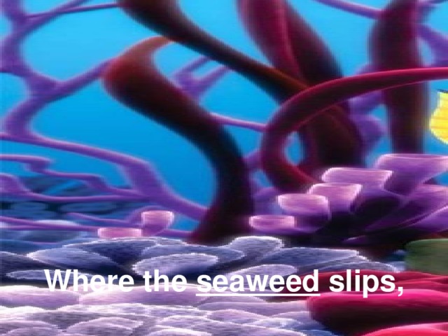Where the seaweed slips,