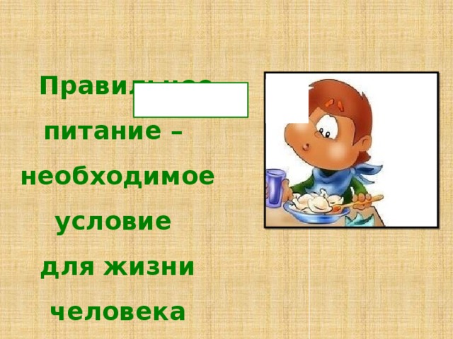 Правильное питание – необходимое условие для жизни человека