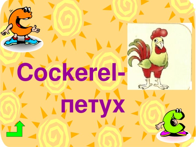 Cockerel - петух