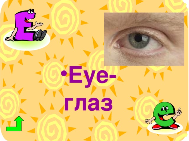 Eye - глаз