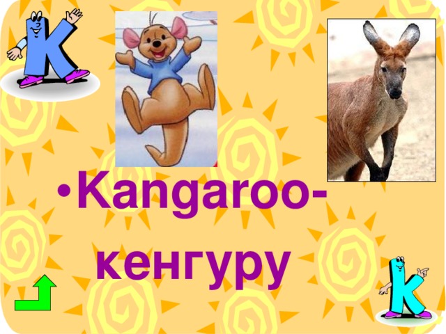 Kangaroo -