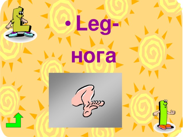 Leg -