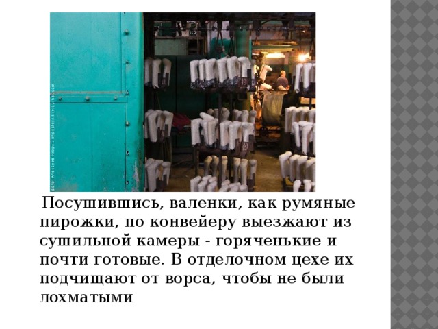 Посушившись, валенки, как румяные пирожки, по конвейеру выезжают из сушильной камеры - горяченькие и почти готовые. В отделочном цехе их подчищают от ворса, чтобы не были лохматыми