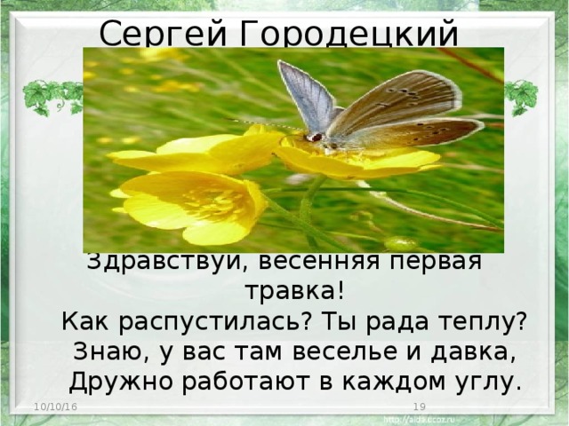 Сергей Городецкий   Здравствуй, весенняя первая травка!  Как распустилась? Ты рада теплу?  Знаю, y вас там веселье и давка,  Дружно работают в каждом yглy.   10/10/16