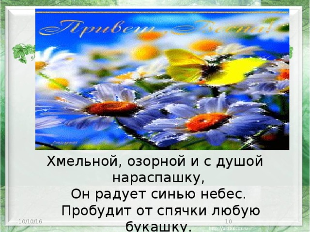 Хмельной, озорной и с душой нараспашку,  Он радует синью небес.  Пробудит от спячки любую букашку.  Станцует легко полонез.   10/10/16