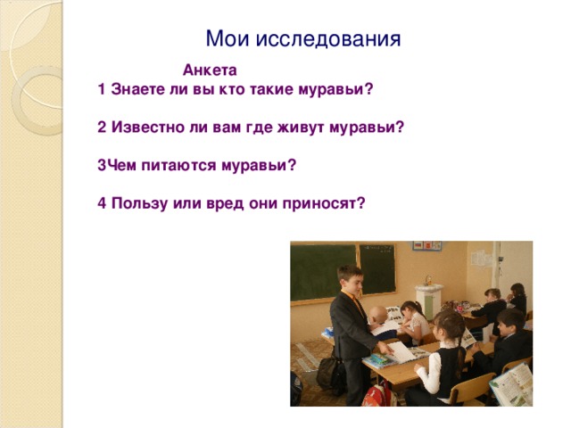 Мои исследования  Анкета 1 Знаете ли вы кто такие муравьи?  2 Известно ли вам где живут муравьи?  3Чем питаются муравьи?  4 Пользу или вред они приносят?