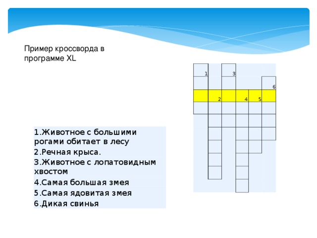 Одежда установленного образца кроссворд