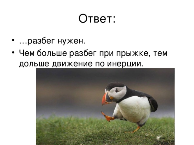 Ответ: