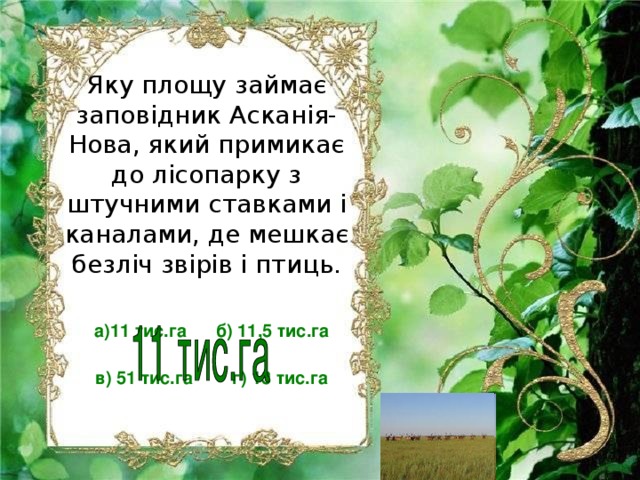 Яку площу займає заповідник Асканія-Нова, який примикає до лісопарку з штучними ставками і каналами, де мешкає безліч звірів і птиць. а)11 тис.га б) 11,5 тис.га  в) 51 тис.га г) 13 тис.га