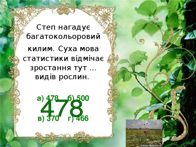 Степ нагадує багатокольоровий килим.  Суха мова статистики відмічає зростання тут … видів рослин. а) 478 б) 500  в) 370 г) 466