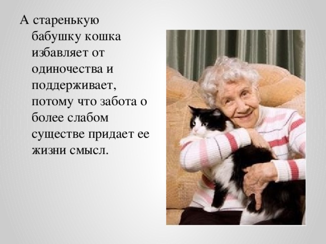 А старенькую бабушку кошка избавляет от одиночества и поддерживает, потому что забота о более слабом существе придает ее жизни смысл.