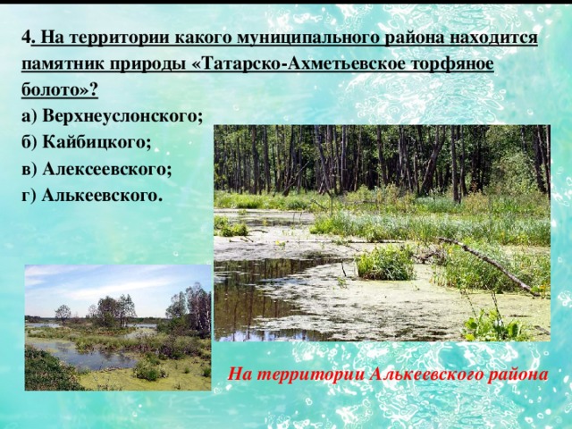 4 . На территории какого муниципального района находится памятник природы «Татарско-Ахметьевское торфяное болото»? а) Верхнеуслонского; б) Кайбицкого; в) Алексеевского; г) Алькеевского. На территории Алькеевского района