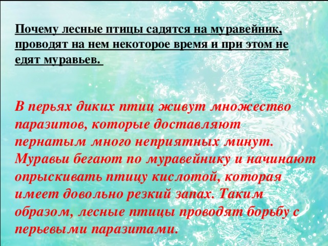 Почему лесные птицы садятся на муравейник, проводят на нем некоторое время и при этом не едят муравьев. В перьях диких птиц живут множество паразитов, которые доставляют пернатым много неприятных минут. Муравьи бегают по муравейнику и начинают опрыскивать птицу кислотой, которая имеет довольно резкий запах. Таким образом, лесные птицы проводят борьбу с перьевыми паразитами.