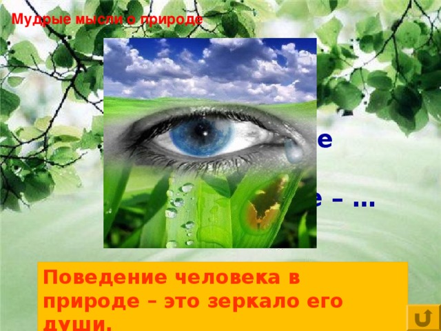 Мудрые мысли о природе Поведение человека в природе – … Поведение человека в природе – это зеркало его души.
