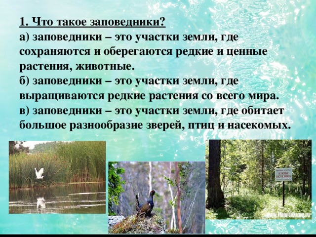 1. Что такое заповедники? а) заповедники – это участки земли, где сохраняются и оберегаются редкие и ценные растения, животные.  б) заповедники – это участки земли, где выращиваются редкие растения со всего мира.  в) заповедники – это участки земли, где обитает большое разнообразие зверей, птиц и насекомых.