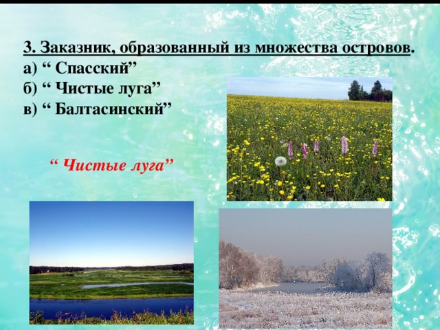 3. Заказник, образованный из множества островов . а) “ Спасский” б) “ Чистые луга” в) “ Балтасинский” “ Чистые луга”