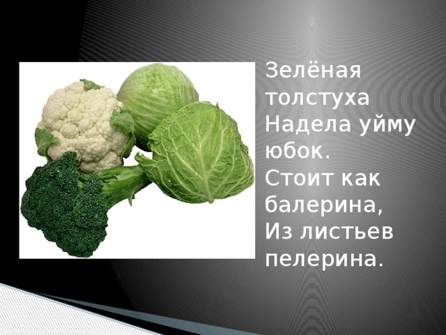 Зелёная толстуха  Надела уйму юбок.  Стоит как балерина,  Из листьев пелерина.