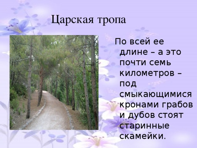 Царская тропа  По всей ее длине – а это почти семь километров – под смыкающимися кронами грабов и дубов стоят старинные скамейки.