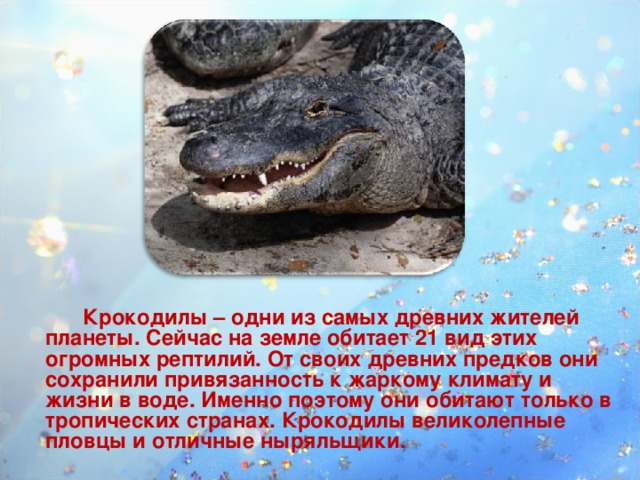 Крокодилы – одни из самых древних жителей планеты. Сейчас на земле обитает 21 вид этих огромных рептилий. От своих древних предков они сохранили привязанность к жаркому климату и жизни в воде. Именно поэтому они обитают только в тропических странах. Крокодилы великолепные пловцы и отличные ныряльщики.