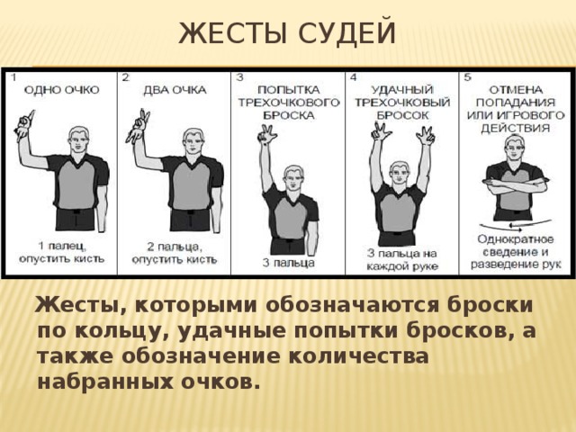 жесты судей  Жесты, которыми обозначаются броски по кольцу, удачные попытки бросков, а также обозначение количества набранных очков.