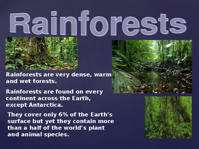 Rainforests are very dense, warm and wet forests. Rainforests are found on every continent across the Earth, except Antarctica. They cover only 6% of the Earth’s surface but yet they contain more than a half of the world’s plant and animal species.