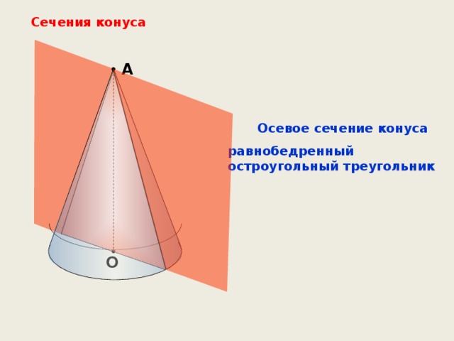 Сечения конуса А Осевое сечение конуса равнобедренный остроугольный треугольник О