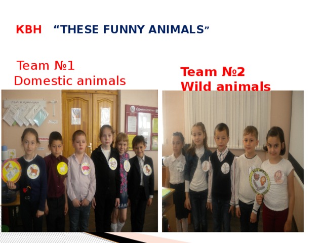 КВН “THESE FUNNY ANIMALS ”    Team №1 Domestic animals Team №2 Wild animals