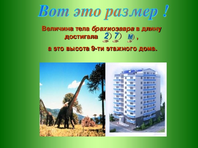 Величина тела брахиозавра в длину достигала ,  а это высота 9-ти этажного дома.
