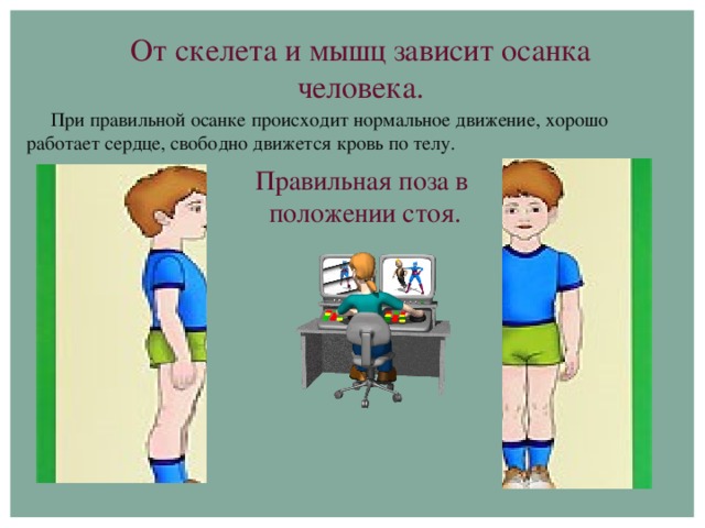 Профилактика осанки презентация. Мышцы влияющие на осанку. Осанка человека зависит. Правильная осанка презентация. Правильная осанка человека скелет.