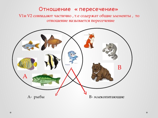 Отношение « пересечение» V1и V2 совпадают частично , т.е содержат общие элементы , то отношение называется пересечение В А В- млекопитающие А- рыбы