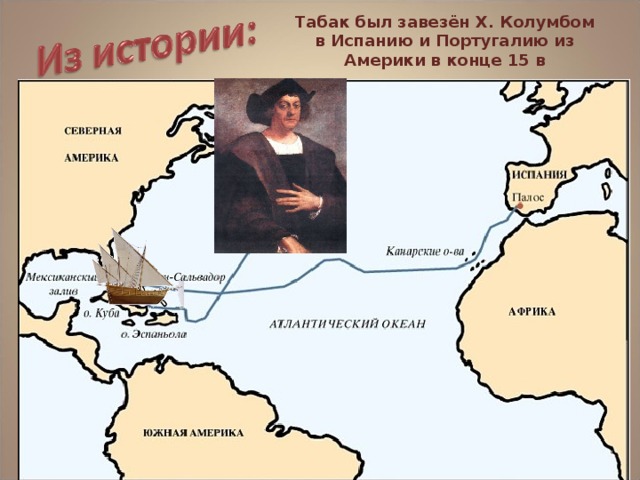 Табак был завезён Х. Колумбом в Испанию и Португалию из Америки в конце 15 в