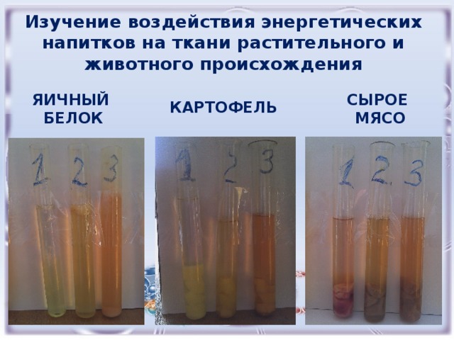 Изучение воздействия энергетических напитков на ткани растительного и животного происхождения   ЯИЧНЫЙ СЫРОЕ БЕЛОК МЯСО КАРТОФЕЛЬ