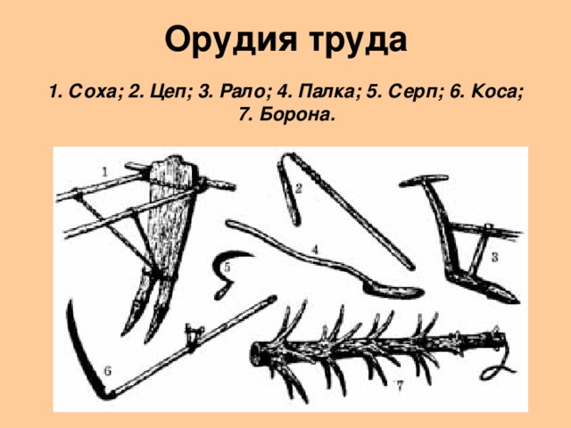 Орудия труда  1. Соха; 2. Цеп; 3. Рало; 4. Палка; 5. Серп; 6. Коса;  7. Борона.